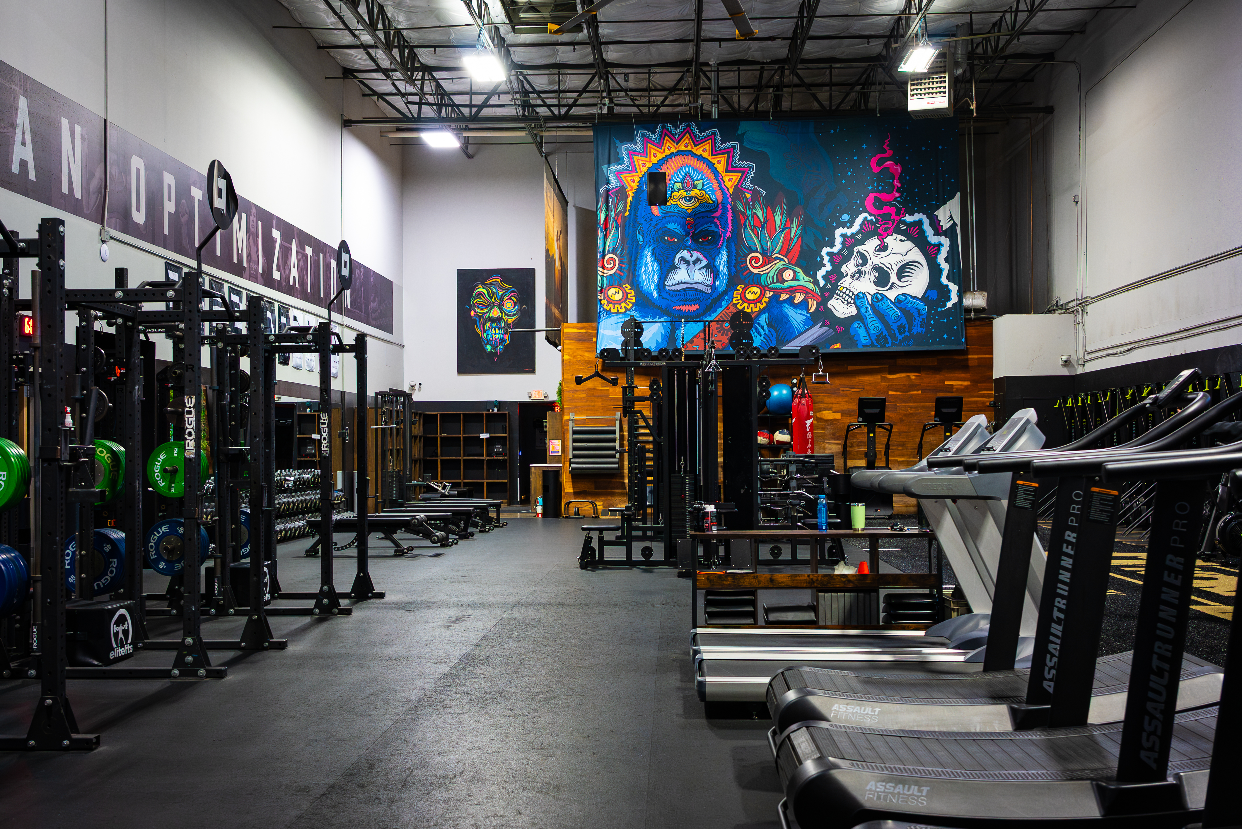 The main floor at Korrect Fitness: squat racks, benches, treadmills, and the gym’s murals.